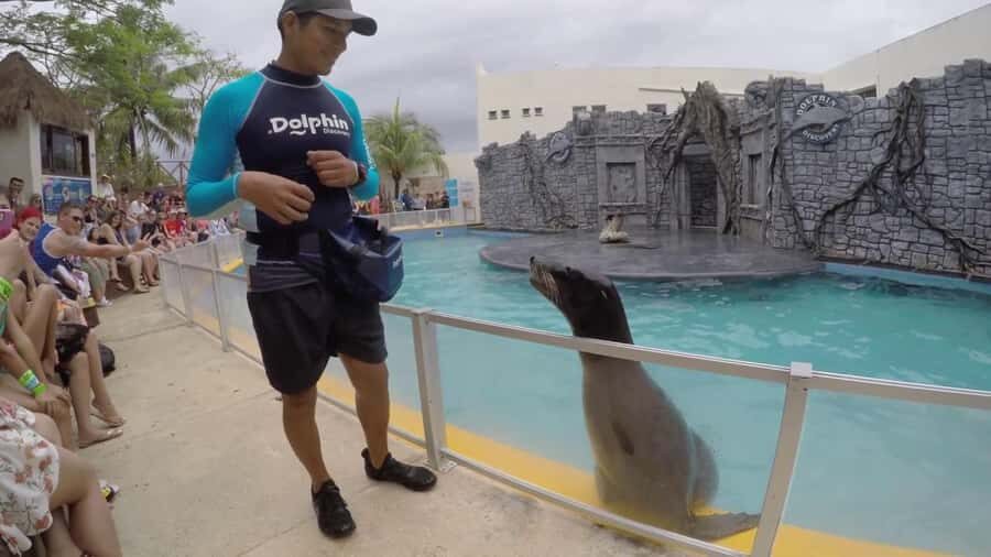 From Cozumel: Chankanaab Park Day pass with Open Bar & Lunch - Getting to Chankanaab from cruise ports: quick and low-stress