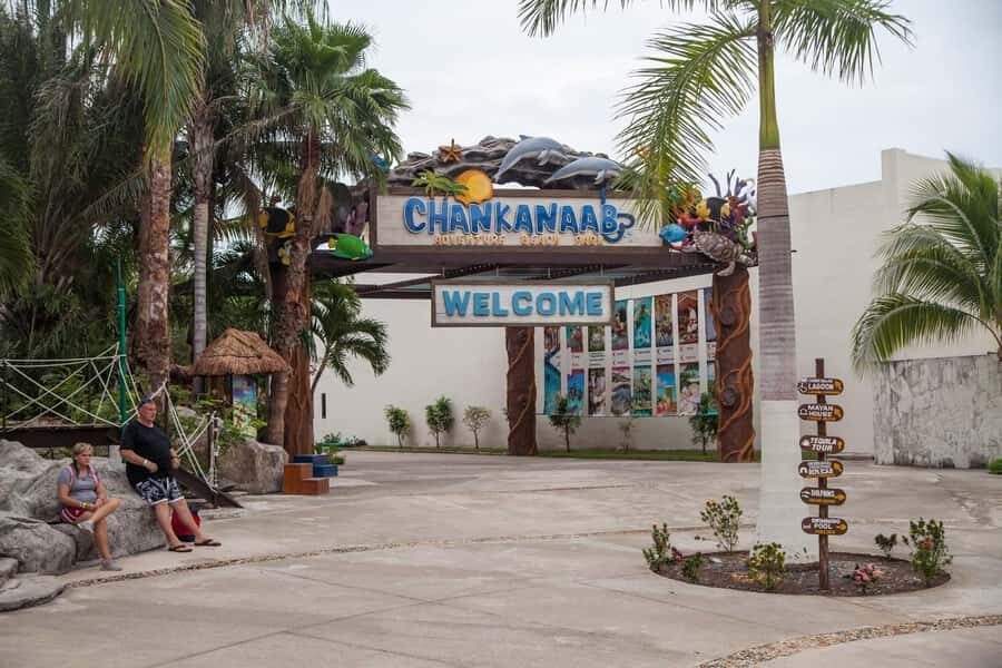 From Cozumel: Chankanaab Park Day pass with Open Bar & Lunch - The flow of your 3 hours: how the day typically moves