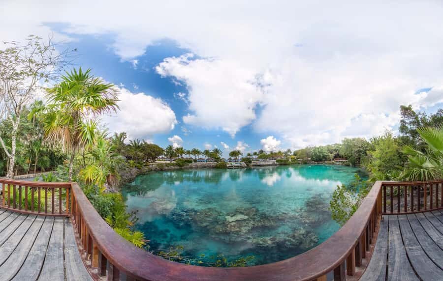 From Cozumel: Chankanaab Park Day pass with Open Bar & Lunch - Snorkeling over the second-largest reef barrier: gear handled, guidance included