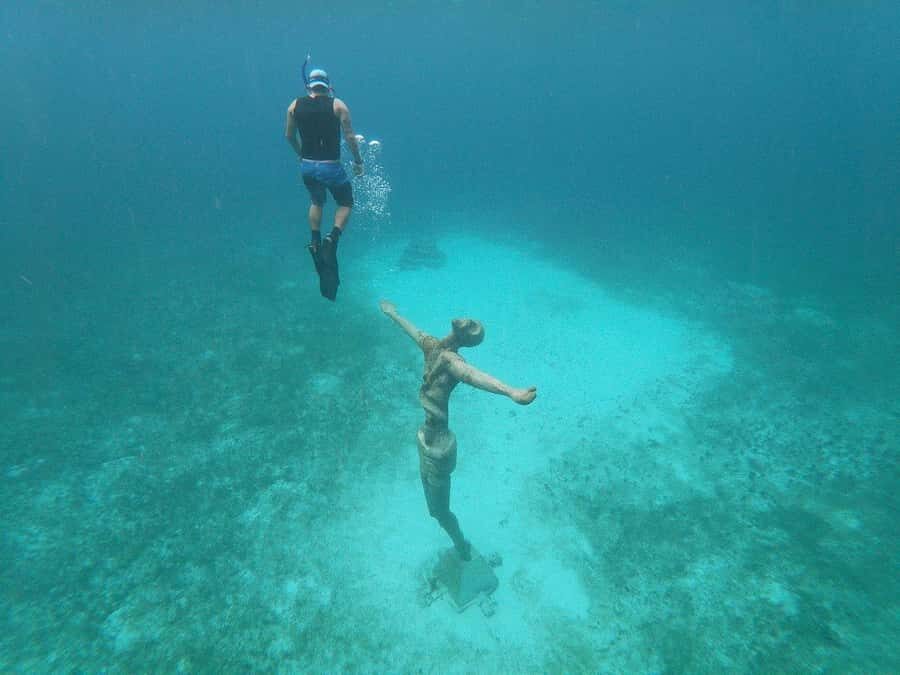 From Cozumel: Chankanaab Park Day pass with Open Bar & Lunch - Open bar and tequila tasting: fun added time, not a full party