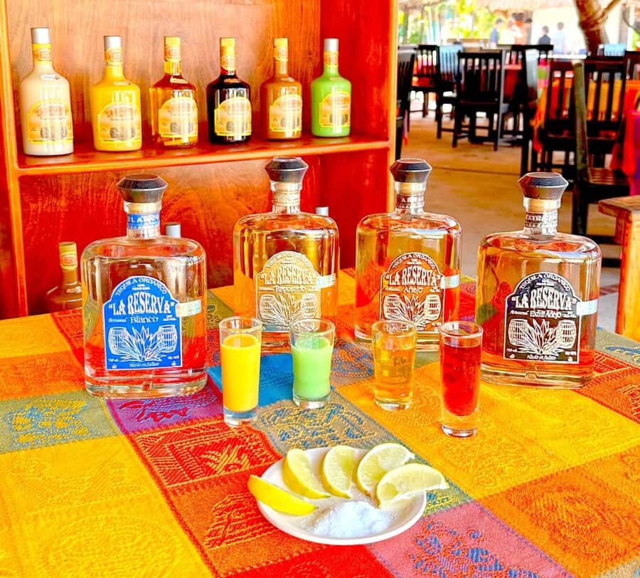 From Cozumel: Chankanaab Park Day pass with Open Bar & Lunch - Sea lion shows: multiple chances to catch the action