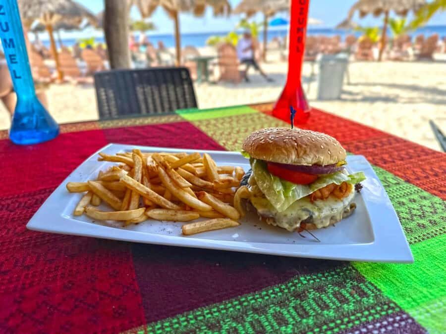 From Cozumel: Chankanaab Park Day pass with Open Bar & Lunch - Price and the one extra fee that can sneak up