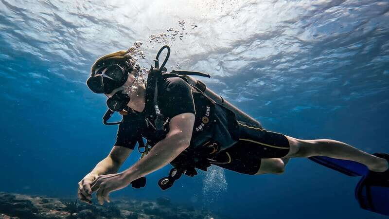 From Cozumel: Double Tank Scuba Diving for Certified Divers - Second reef session: more structure, more animals, and better flow