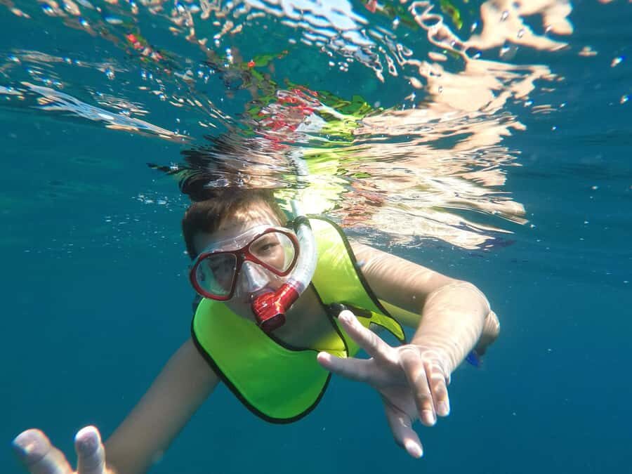 From Cozumel: El Cielo Beach by Catamaran Snorkeling Tour - Turtle Bay: the sea turtle moment (and more chances to spot wildlife)