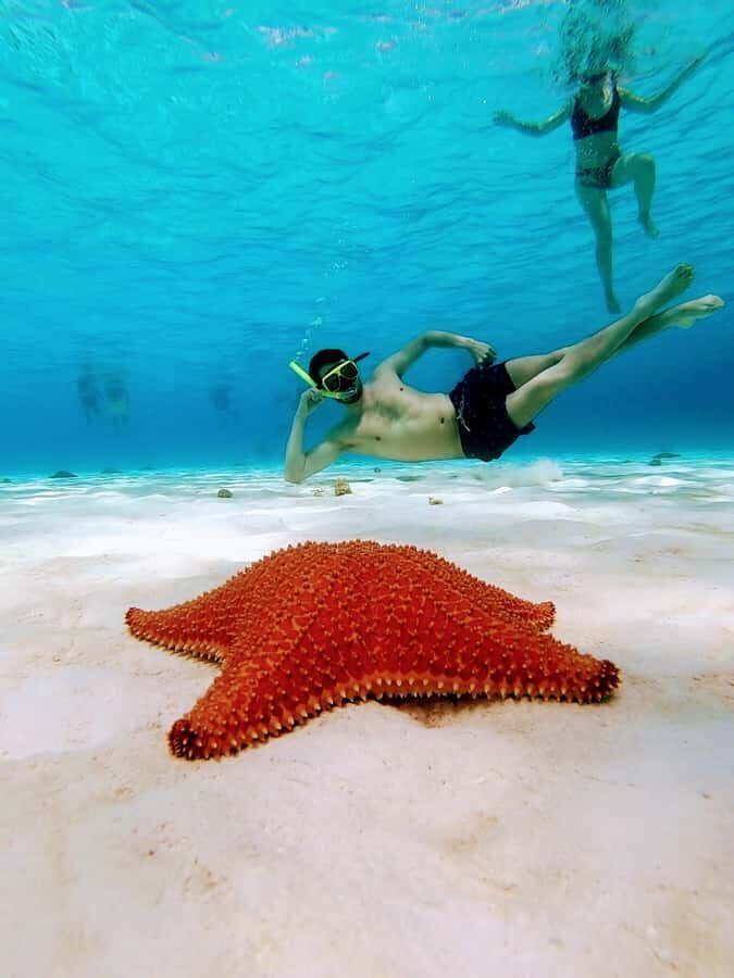 From Cozumel: El Cielo Beach by Catamaran Snorkeling Tour - Playa el Cielito: baby rays and a more open-water vibe