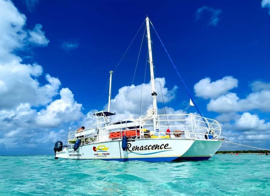 From Cozumel: El Cielo Beach by Catamaran Snorkeling Tour - El Cielo and the starfish bay experience you came for