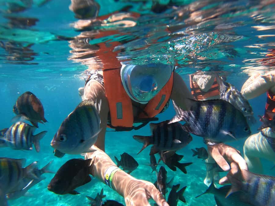 From Cozumel: Invisible Boat Snorkeling Tour - The invisible-clear boat is the whole point