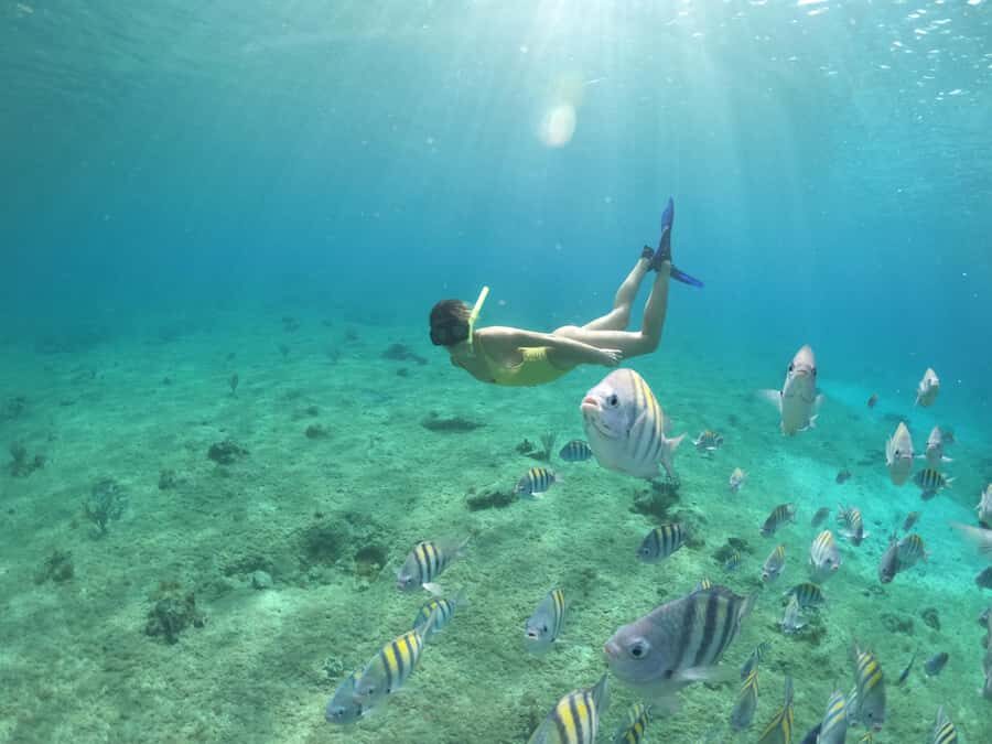 From Cozumel: Invisible Boat Snorkeling Tour - Reef snorkeling: quick, gear-supported, and realistic