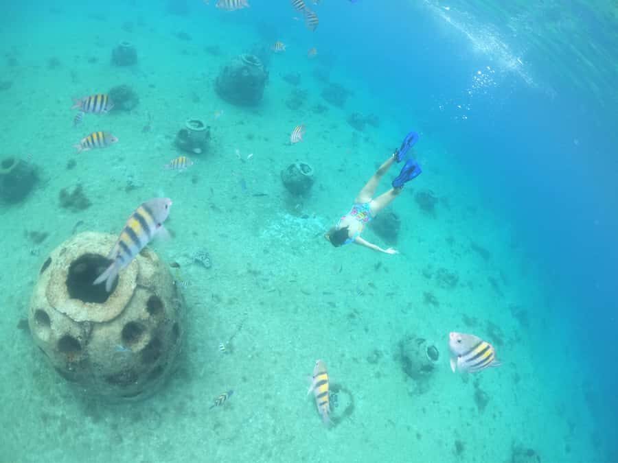From Cozumel: Invisible Boat Snorkeling Tour - Crew and guide: when it feels personal