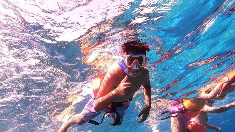From Cozumel: Official Chankanaab Park Day Pass and Snorkel - Key highlights at a glance