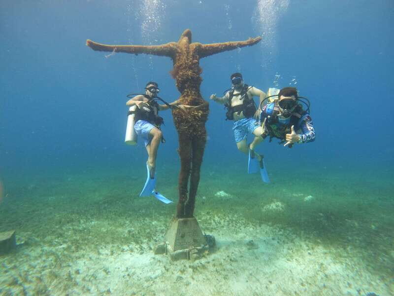 From Cozumel: Official Chankanaab Park Day Pass and Snorkel - Sea lion show time: included admission, optional pacing