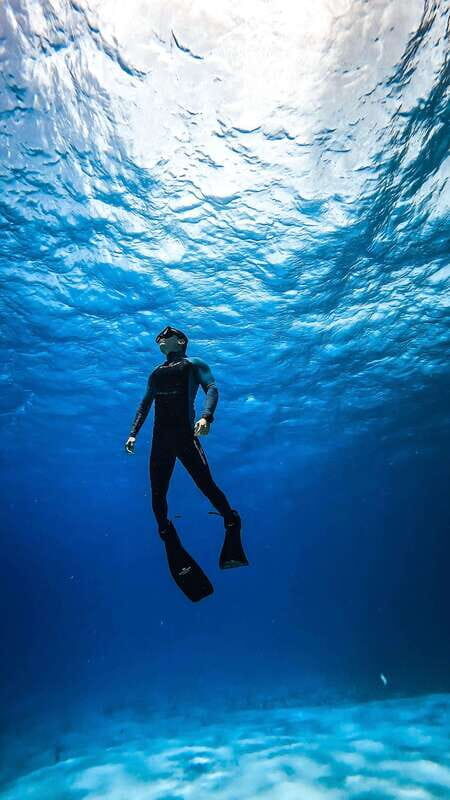 From Cozumel: Snorkel Private Charter to el Cielo & Cielito - Key highlights worth marking on your map