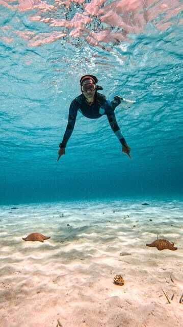 From Cozumel: Snorkel Private Charter to el Cielo & Cielito - Food and drinks: what’s included and why it matters