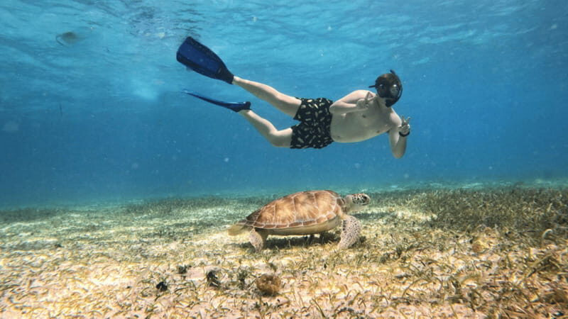 From Cozumel: Snorkel Private Charter to el Cielo & Cielito - Gear, guides, and the VIP feel on a private group charter