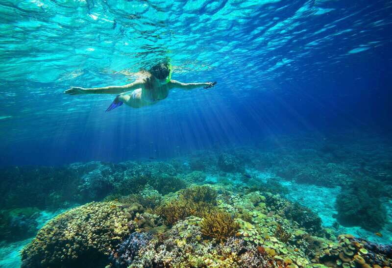 From Cozumel: Snorkel Private Charter to el Cielo & Cielito - Timing and what the schedule means for your experience