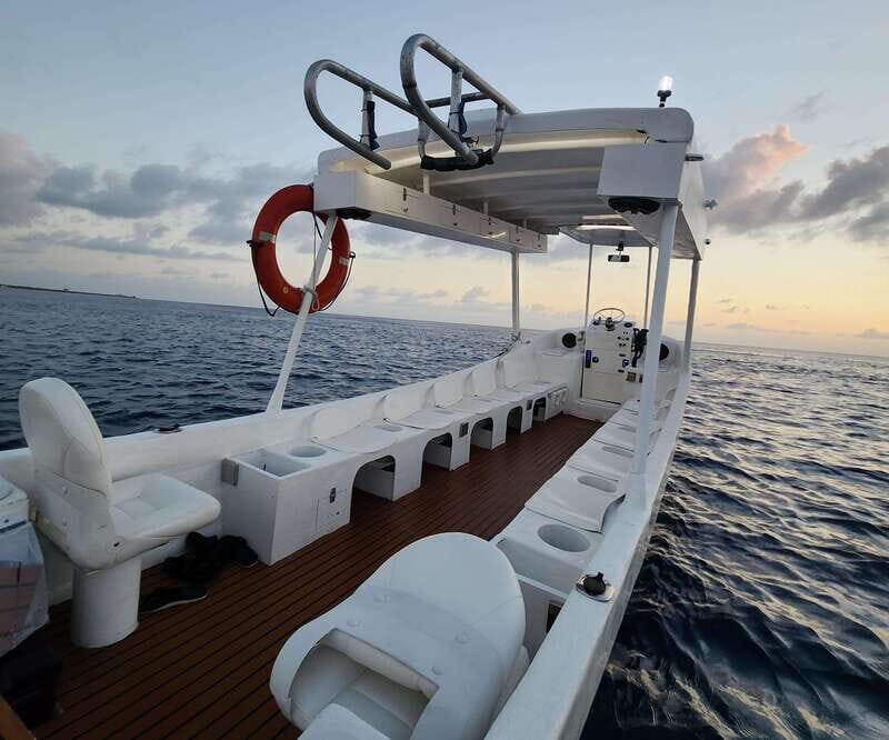 From Cozumel: Snorkel Private Charter to el Cielo & Cielito - Three reef swims for colorful fish and coral without the chaos