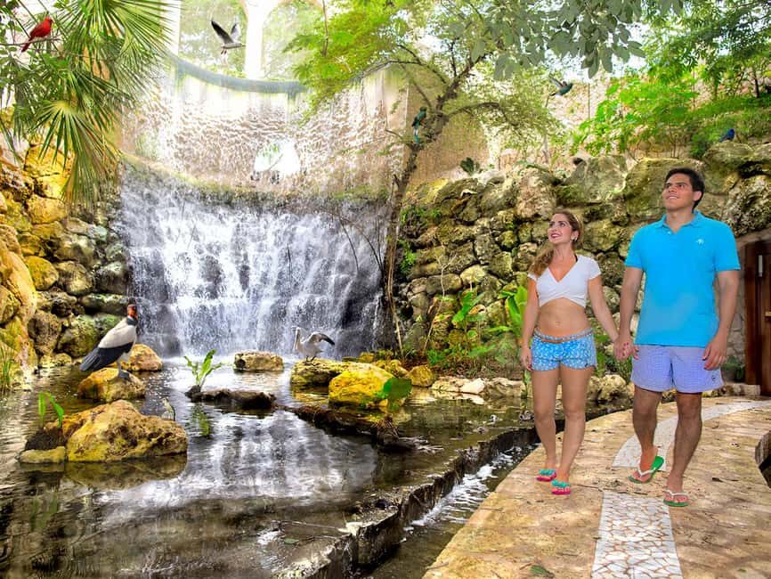 From Playa del Carmen: Xcaret Park All-Inclusive - Beaches and Natural Pools: Relax Time With Real Facilities