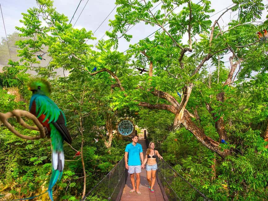 From Playa del Carmen: Xcaret Park All-Inclusive - Picking Your Culture and Nature Mix: Aquarium, Butterflies, Aviary, Rainforest
