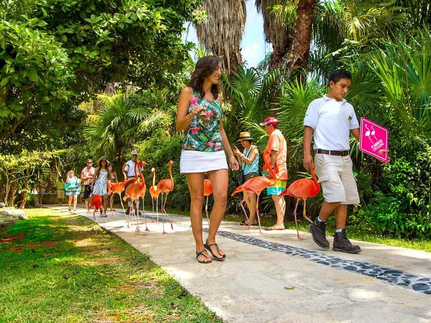 From Playa del Carmen: Xcaret Park All-Inclusive - Children’s World: Built for Kids, Still Useful for Adults
