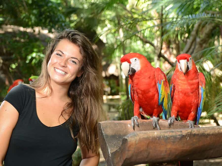 From Riviera Maya: Complete Combo to Xcaret Park! - Key highlights to know before you go