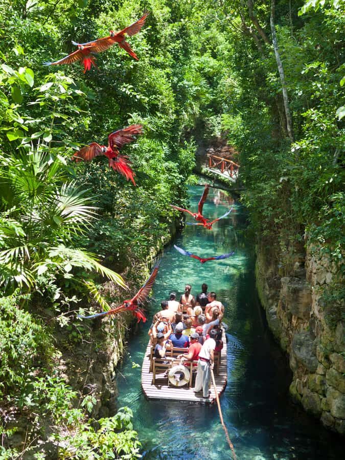 From Riviera Maya: Complete Combo to Xcaret Park! - Choosing your mix of 50+ attractions without burning out