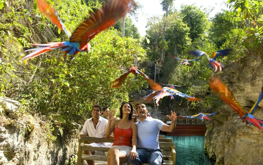 From Riviera Maya: Complete Combo to Xcaret Park! - The timing and flow: what your 13.5 hours really feels like