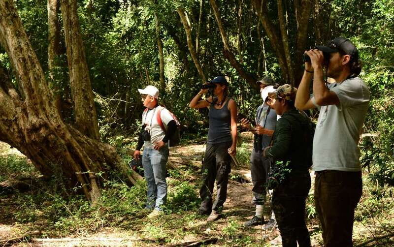 From Riviera Maya : Sian Ka'an Muyil Birdwatching with Guide - The freshwater lagoon payoff: where the day feels worth it