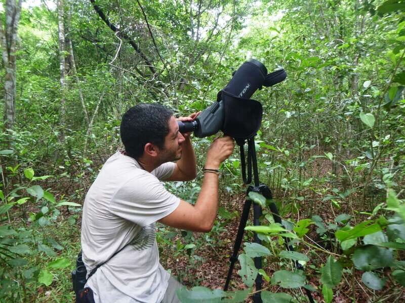 From Riviera Maya : Sian Ka'an Muyil Birdwatching with Guide - Meeting at Muyil Ruins: the easy start (and the one logistics point that matters)