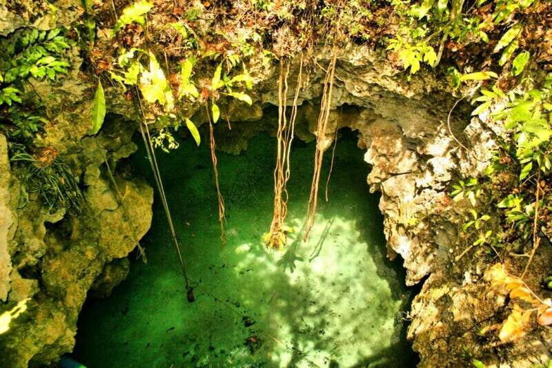 From Riviera Maya: Snorkeling & Private Cenote Half-Day Tour - Lunch and the day’s rhythm: how the timing works from Tulum