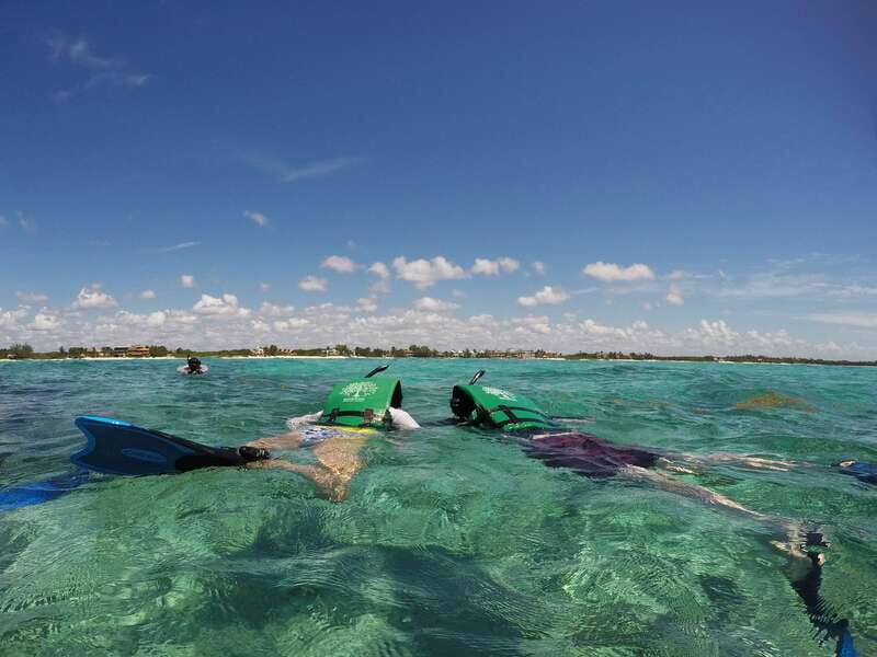 From Riviera Maya: Snorkeling & Private Cenote Half-Day Tour - Guides, group size, and the eco tone you’ll notice