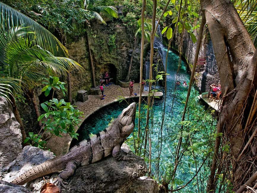 From Riviera Maya: Xcaret Park All-Inclusive - Snorkel-Friendly Waters and the Reef Side of the Park