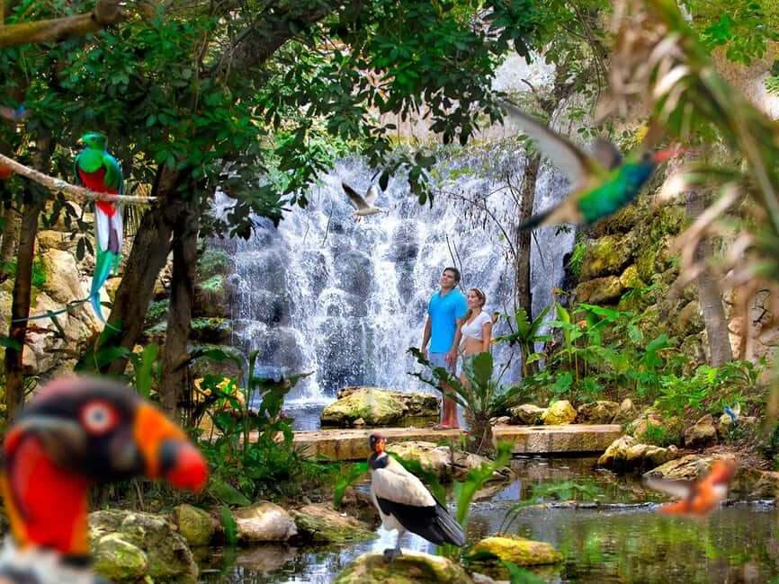 From Riviera Maya: Xcaret Park All-Inclusive - Price and Value: Is $165 Worth a 13.5-Hour Day?