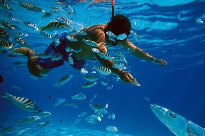 Full-Day Catamaran Cozumel Tour with Sky Snorkeling - Key highlights if you love snorkeling and easy logistics