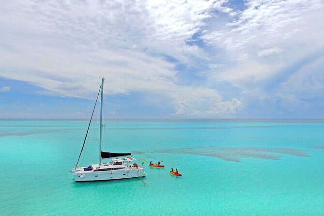 Full-Day Catamaran Cozumel Tour with Sky Snorkeling - Getting to Cozumel: The fast ferry start matters more than you think