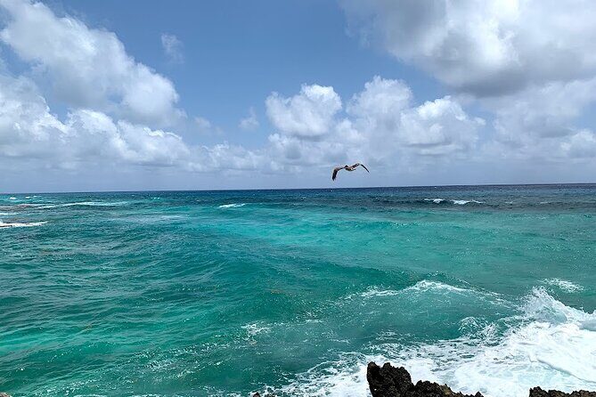 Full-Day Catamaran Cozumel Tour with Sky Snorkeling - Stop 1: Palancar Reef snorkeling for coral and multicolored fish