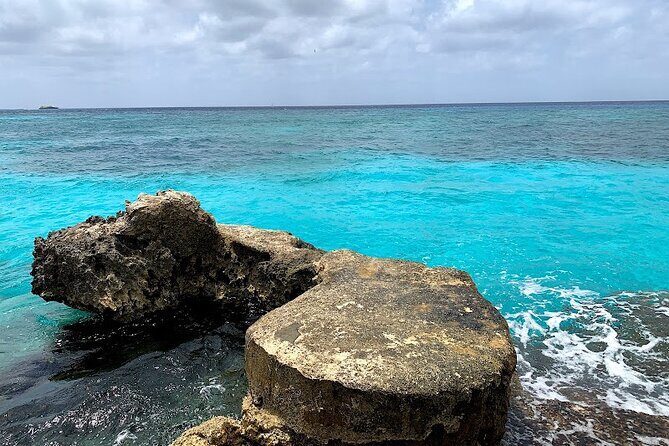 Full-Day Catamaran Cozumel Tour with Sky Snorkeling - Stop 2: Playa El Cielo starfish sanctuary and the big rule