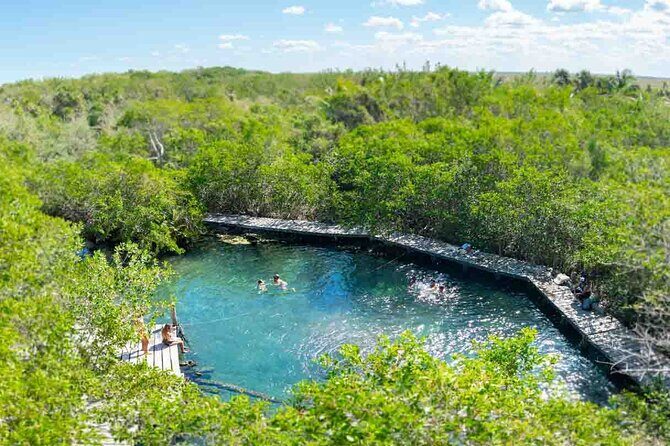 Full Day Excursion to the Best of Holbox From Riviera Maya - Riviera Maya to Holbox: the morning rhythm and how pickup works