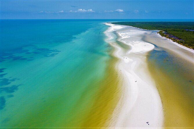 Full Day Excursion to the Best of Holbox From Riviera Maya - Isla de la Pasión: a short bird-watching walk that stays worth it