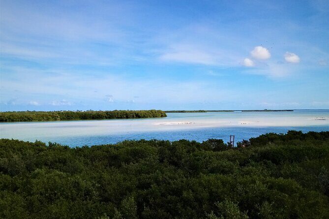 Full Day Excursion to the Best of Holbox From Riviera Maya - Punta Mosquito: where the day gets playful
