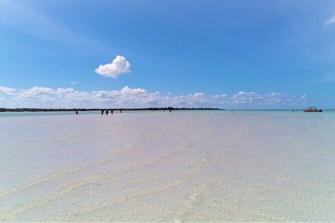 Full Day Excursion to the Best of Holbox From Riviera Maya - Yalahau Lagoon and Ojo de Agua: last-chance swimming time