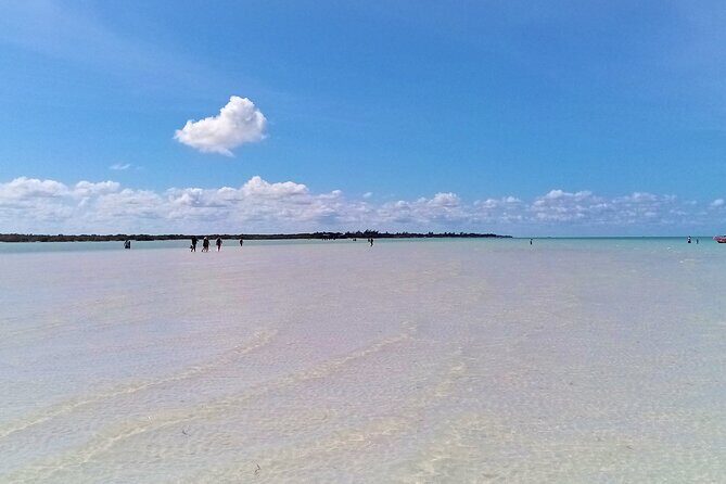 Full Day Excursion to the Best of Holbox From Riviera Maya - Food and drinks on the boat: what’s included (and what to plan for)