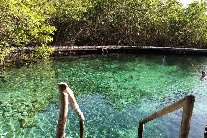 Full Day Excursion to the Best of Holbox From Riviera Maya - Price and value: what you’re really paying for from Riviera Maya