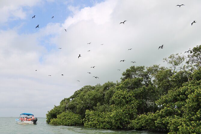 Full Day Guided Tour to Sian Ka'an (short way) - Small-group vibes and why max 12 matters on a nature tour