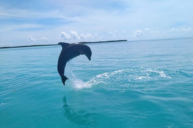 Full Day Guided Tour to Sian Ka'an (short way) - English guide support, mobile ticket, and a day that stays organized
