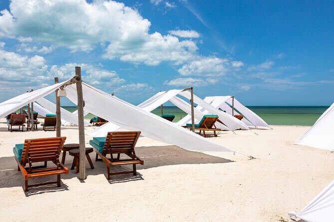 Full-Day Holbox Island Boat and Buggy Tour with Lunch - How This Chiquila to Holbox Day Really Flows
