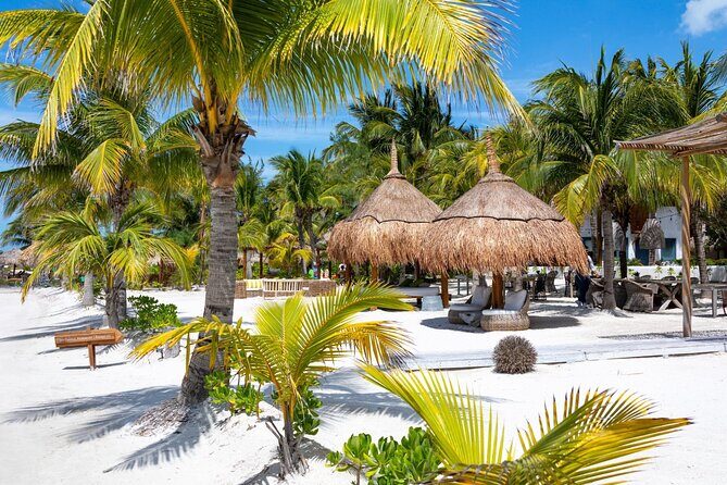 Full-Day Holbox Island Boat and Buggy Tour with Lunch - Holbox by Buggy: Fun Ride, Short Radius