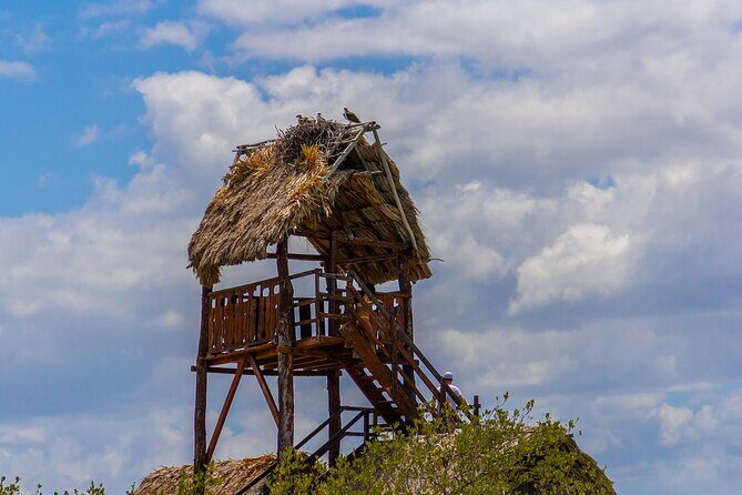 Full Day Holbox Island Tour from Playa del Carmen with Lunch - Holbox Island: lagoon crossing, Yum Balam Reserve time, and lunch