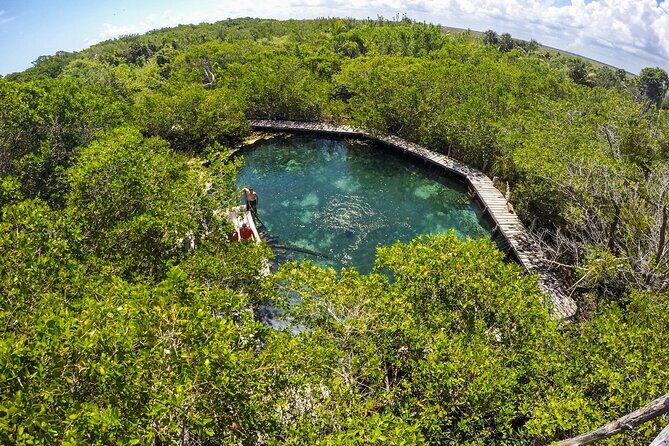 Full Day Holbox Island Tour from Playa del Carmen with Lunch - Pickup, meeting point, and how to avoid the morning scramble