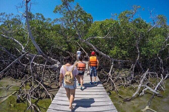 Full Day Holbox Island Tour from Playa del Carmen with Lunch - What to bring for a swim-and-nature day