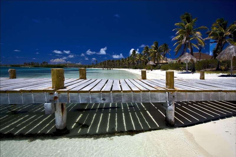 Full Day Nature Expedition to Contoy Island and Isla Mujeres - A Day That Blends Wildlife and Island Time